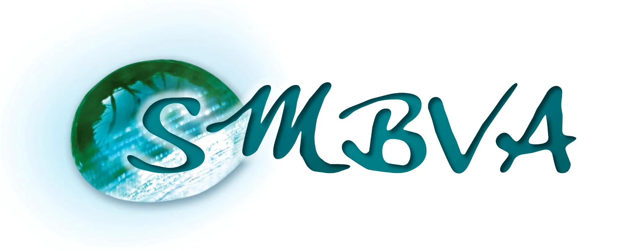 Voici le logo de la marque SYNDICAT MIXTE DU BASSIN VERSANT DE L'ARLY (SMBVA) qui représente son identité graphique.