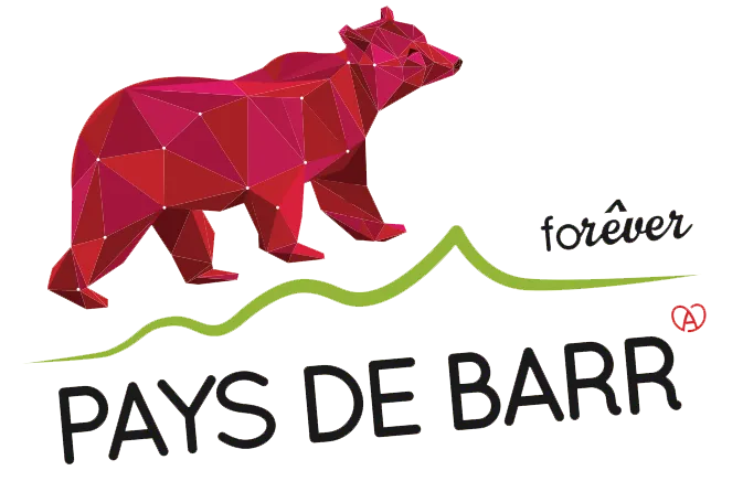 Voici le logo de la marque COMMUNE DE SAINT PIERRE qui représente son identité graphique.