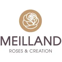 MEILLAND INTERNATIONAL (MI)