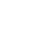 SOC KENNEDY logo