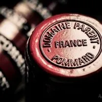 SOCIETE D'EXPLOITATION DU DOMAINE PARENT logo