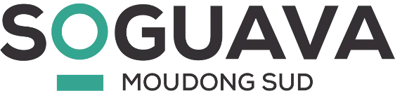 Voici le logo de la marque SOCIETE GUADELOUPEENNE DE VENTE D'AUTOMOBILES (SOGUAVA) qui représente son identité graphique.
