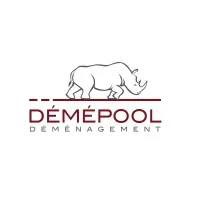 Voici le logo de la marque DEMEPOOL DISTRIBUTION qui représente son identité graphique.