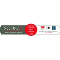 Voici le logo de la marque SODECC EXPERTISE COMPTABLE (SODECC) qui représente son identité graphique.