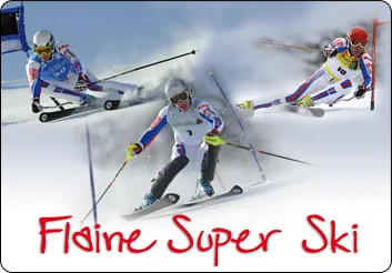 SARL FLAINE SPORTS logo