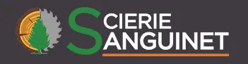 SANGUINET SA logo