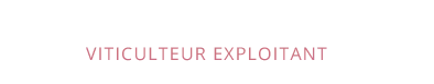 DOMAINE PIERRE GELIN logo