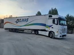 DELMAS SAS logo