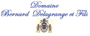 DOMAINE BERNARD DELAGRANGE ET FILS logo