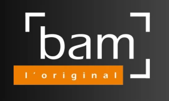 LA BOITE A MUSIQUE SARL logo