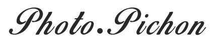 SARL STUDIO G. PICHON (SOCIETE STUDIO G PICHON) logo