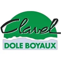DOLE BOYAUX (BASIC) logo