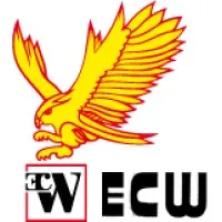 EXPERTISES, TESTS ET CONTROLES SUR TOUS MATERIAUX (ECW) logo