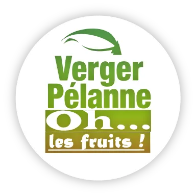 VERGER PELANNE logo