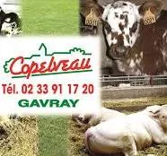 COPELVEAU logo