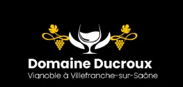 DOMAINE DU CROUX SAS logo