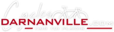 SOCIETE DARNANVILLE logo