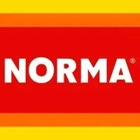 Voici le logo de la marque NORMA FRANCE SAS qui représente son identité graphique.