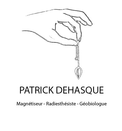 DEHASQUE PATRICK (ESTHETIQUE PATRICK) logo