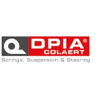 Voici le logo de la marque DEVELOPPEMENT ET PRODUCTION POUR L'INDUSTRIE ET L'AUTOMOTIVE - DPIA (DPIA) qui représente son identité graphique.