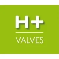 H + VALVES logo