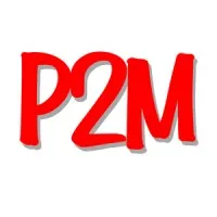 P2M SA logo
