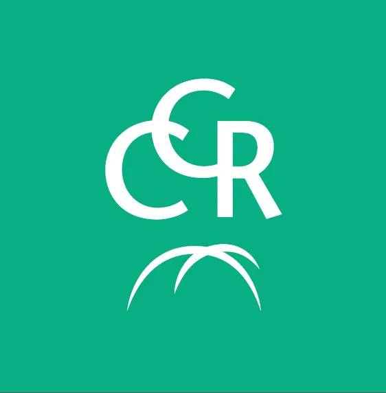 CHAMPAGNE CONSTRUCTION RENOVATION logo