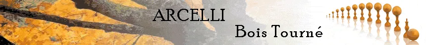 ARCELLI JACQUES logo