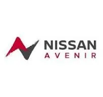 Voici le logo de la marque SOCIETE D EXPLOITATION DU GARAGE DE ROBINSON (Nissan) qui représente son identité graphique.