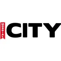 PARIS SCOOTER ACCESSOIRES (MONDIAL SCOOTER ET MONDIAL CITY) logo