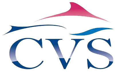 CERAMIQUES DU VAL DE SEINE logo