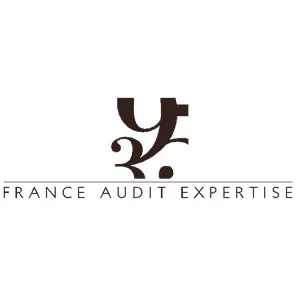 FRANCE AUDIT EXPERTISE logo