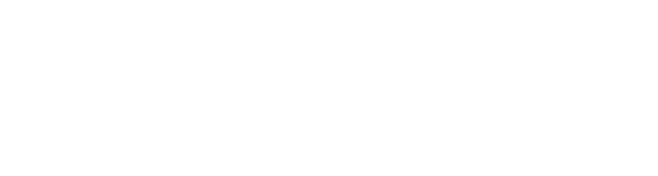 VOLDOIRE logo