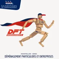 SARL DFT (DEMENAGEMENTS FRANCOIS TAILLEUR) logo
