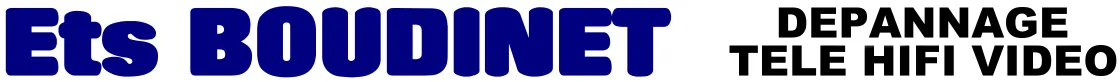 BOUDINET DENIS logo