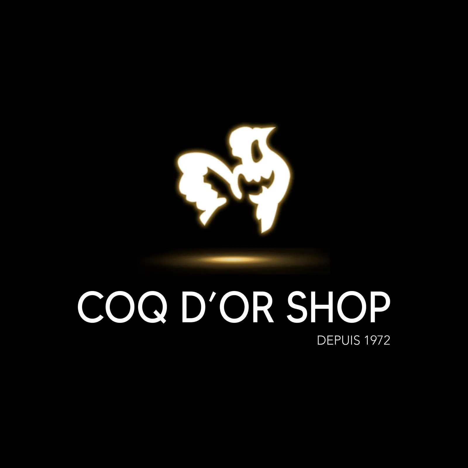 BOUCHERIE PROVENCALE DU COQ D'OR logo
