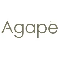 AGAPE GROUP logo