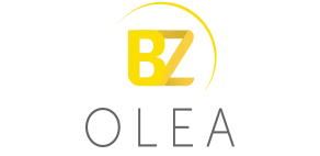 BEUZELIN BERNARD logo