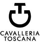 ASTTING logo