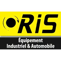 ROULEMENTS INDUSTRIE SERVICE (RIS) logo
