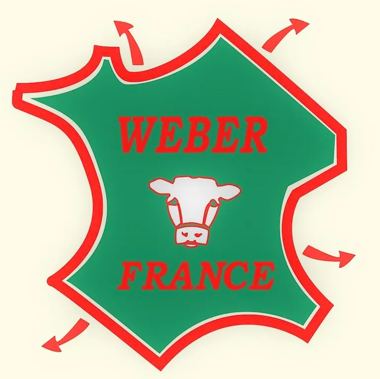 ETS WEBER logo