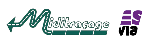 ESVIA logo