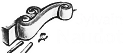 NAUDOT SYLVAIN logo