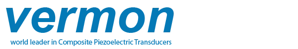 VERMON SA logo