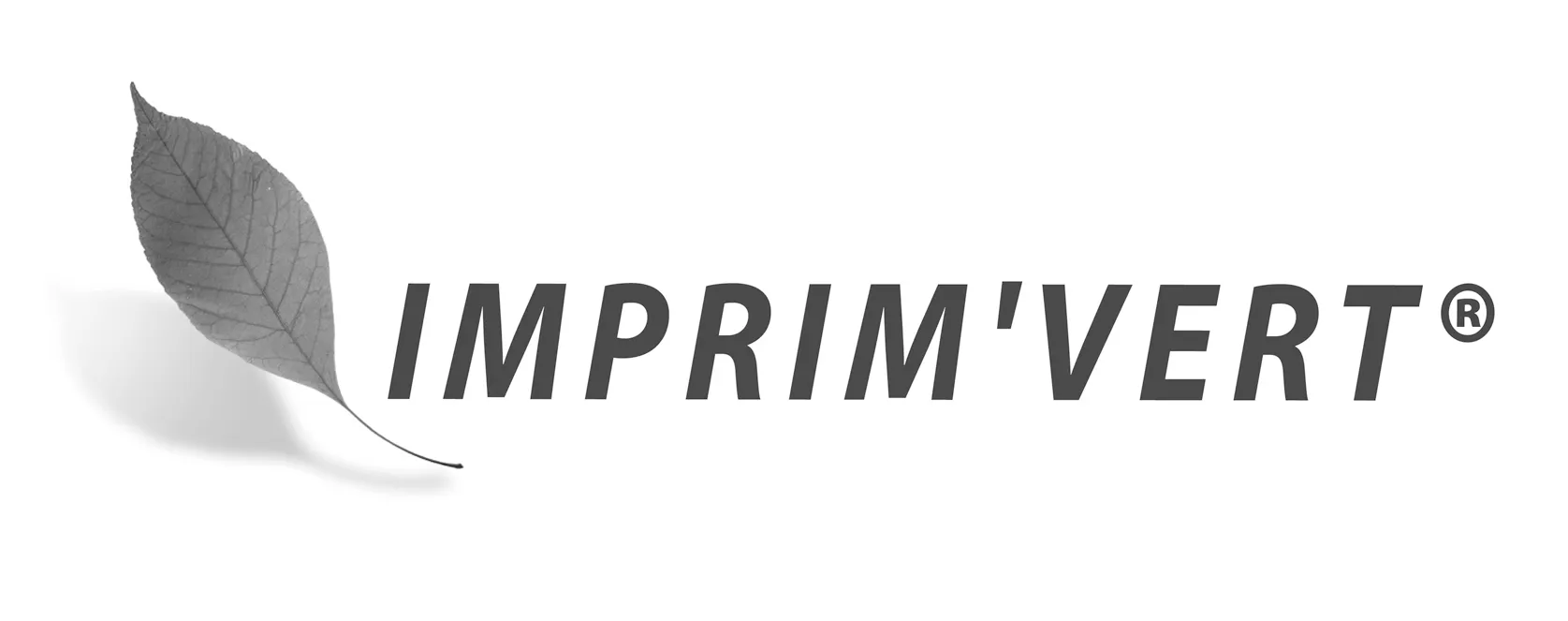 RECREATION logo