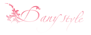 SOCIETE DANY STYLE logo