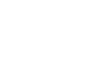 NUMERO 6 logo