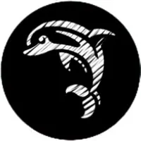 PAQUES JEAN-PIERRE logo