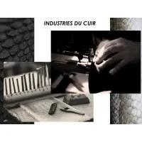 INDUSTRIES DU CUIR SARL logo