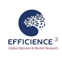 SARL EFFICIENCE 3 logo